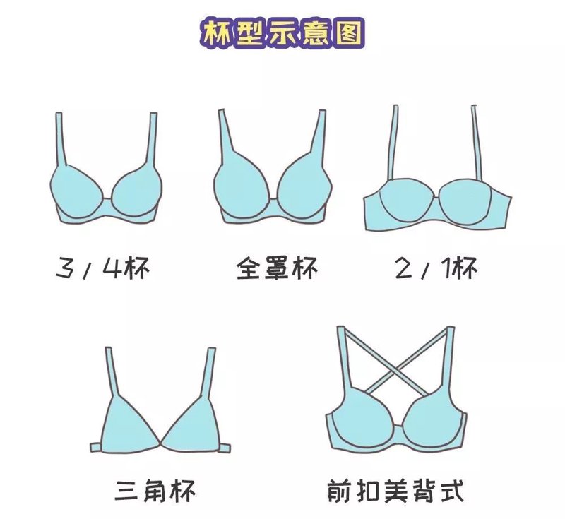 内衣行业的市场动态与发展前景
