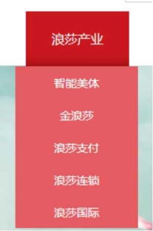 浪莎内衣官网_＂内衣第一股＂久当＂铁公鸡＂高压下浪莎有意＂拔毛＂(2)